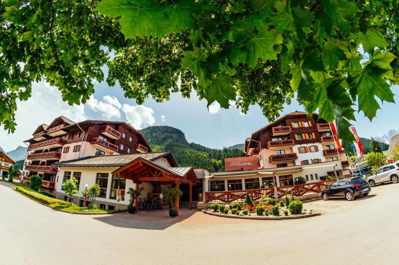 Modern Studio-Apartment In Gosau Near Hallstatt Eksteriør billede